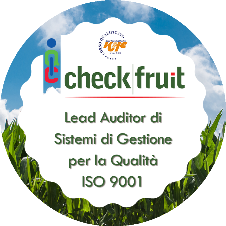 lead-auditor-iso-9001